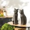 Melrose Sitting Cat Figurine Decorations - 12" - Gray - Set of 4